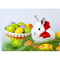 Easter - White easter bunny...