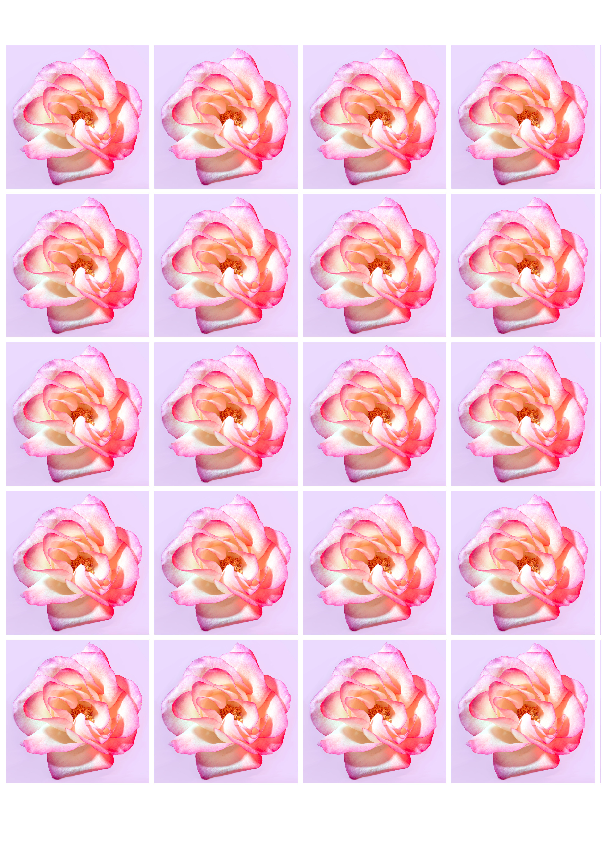 Vaaleanpunainen ruusu sinulle - Syötävä muffinssikuva