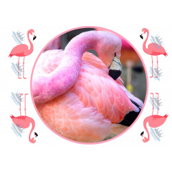 Flamingo kakkukuva - Syötävä kakkukuva kakkuun